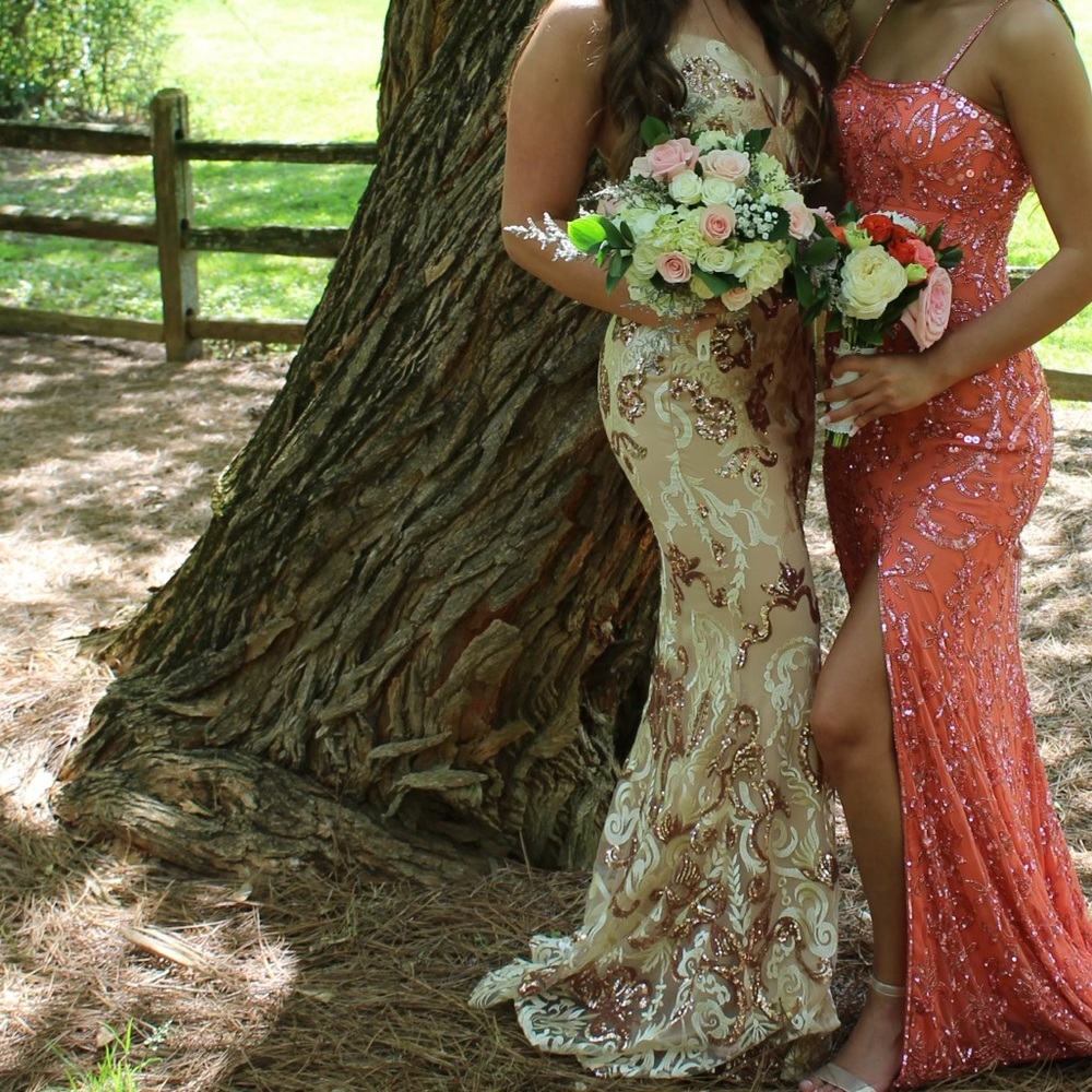 ENVIOUS COULURE PROM DRESS! WORN ONCE!! GREAT CONDITION!!